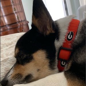 Meet your Posher, Sally